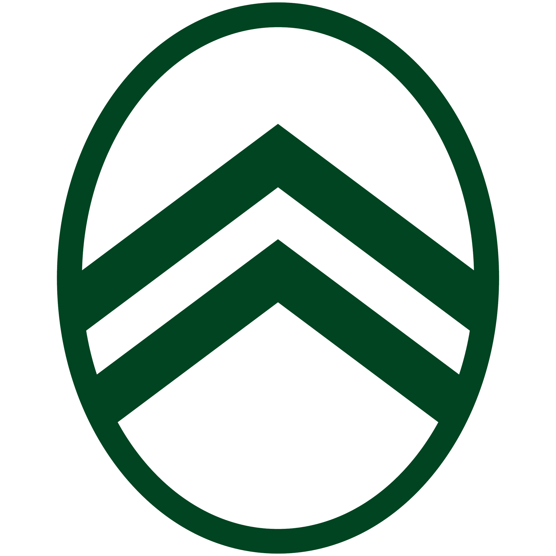 logo cirtoën vert